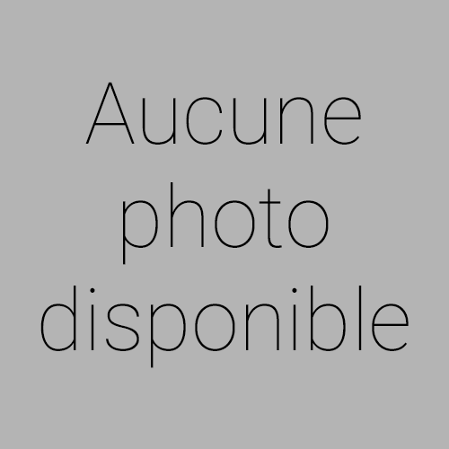 Peugeot 3008 - 2.0 HDI 150 FAP BVM6 Business Pack